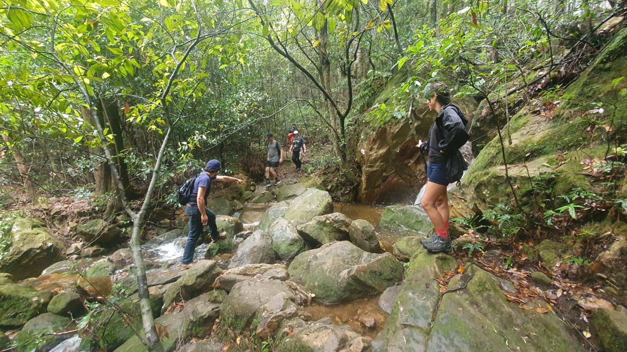 הוסטל קטומבה Flying Fox Backpackers מראה חיצוני תמונה