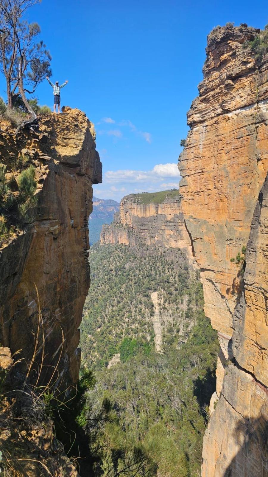 הוסטל קטומבה Flying Fox Backpackers מראה חיצוני תמונה